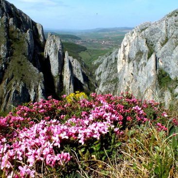 One-day hike to Turzii Gorge and optional Turda Salt Mine