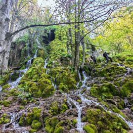 One-day hike to “Șipote Waterfall” and “Vânătările Ponorului” nature reserve